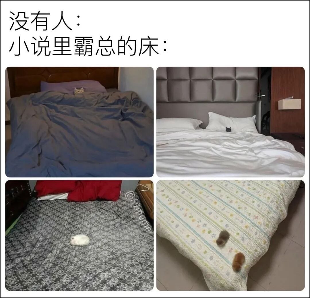 我醒来 ​​​