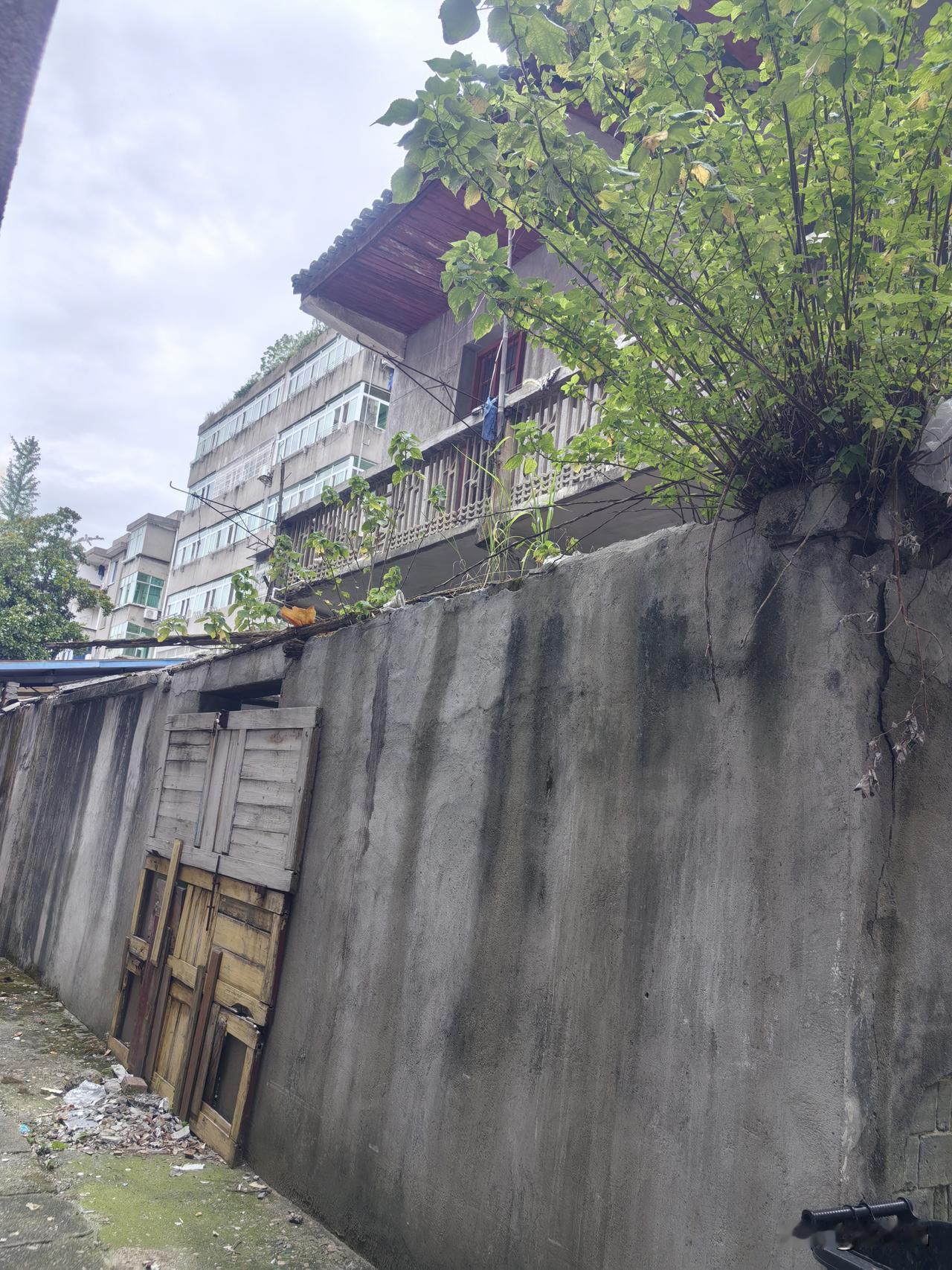 去姥姥家瞧一眼
   爷爷奶奶的旧家早已没了，姥姥家多年前旧房被拆迁办收购，原房