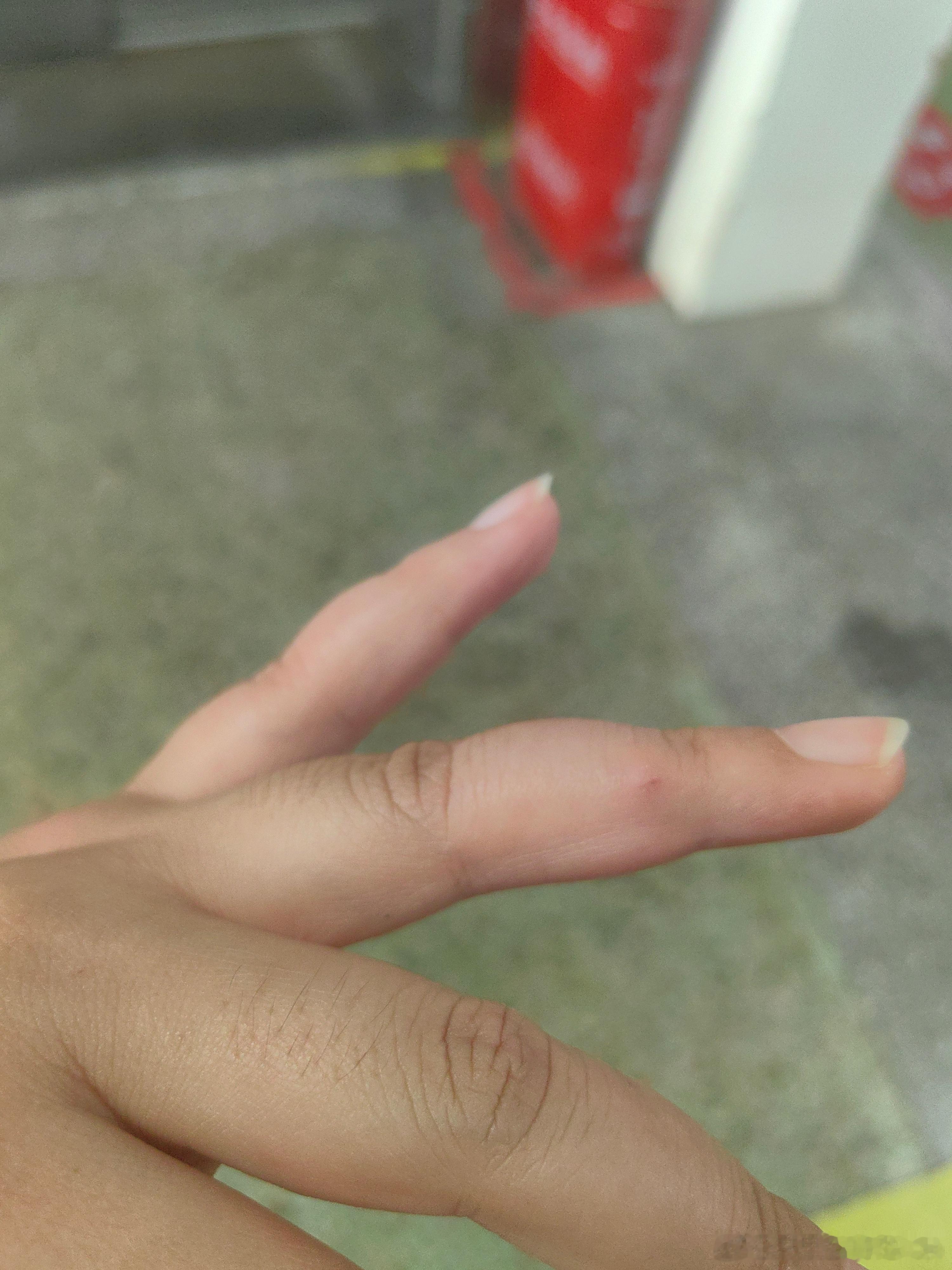 逆子送的礼物 