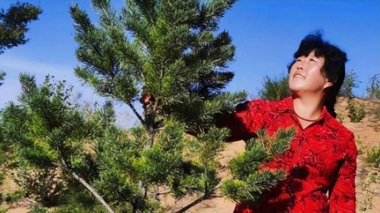 她父亲逼着19岁的她嫁给恩人的儿子，她哭闹7天，忽然放弃逃跑，终于认命，谁料，3