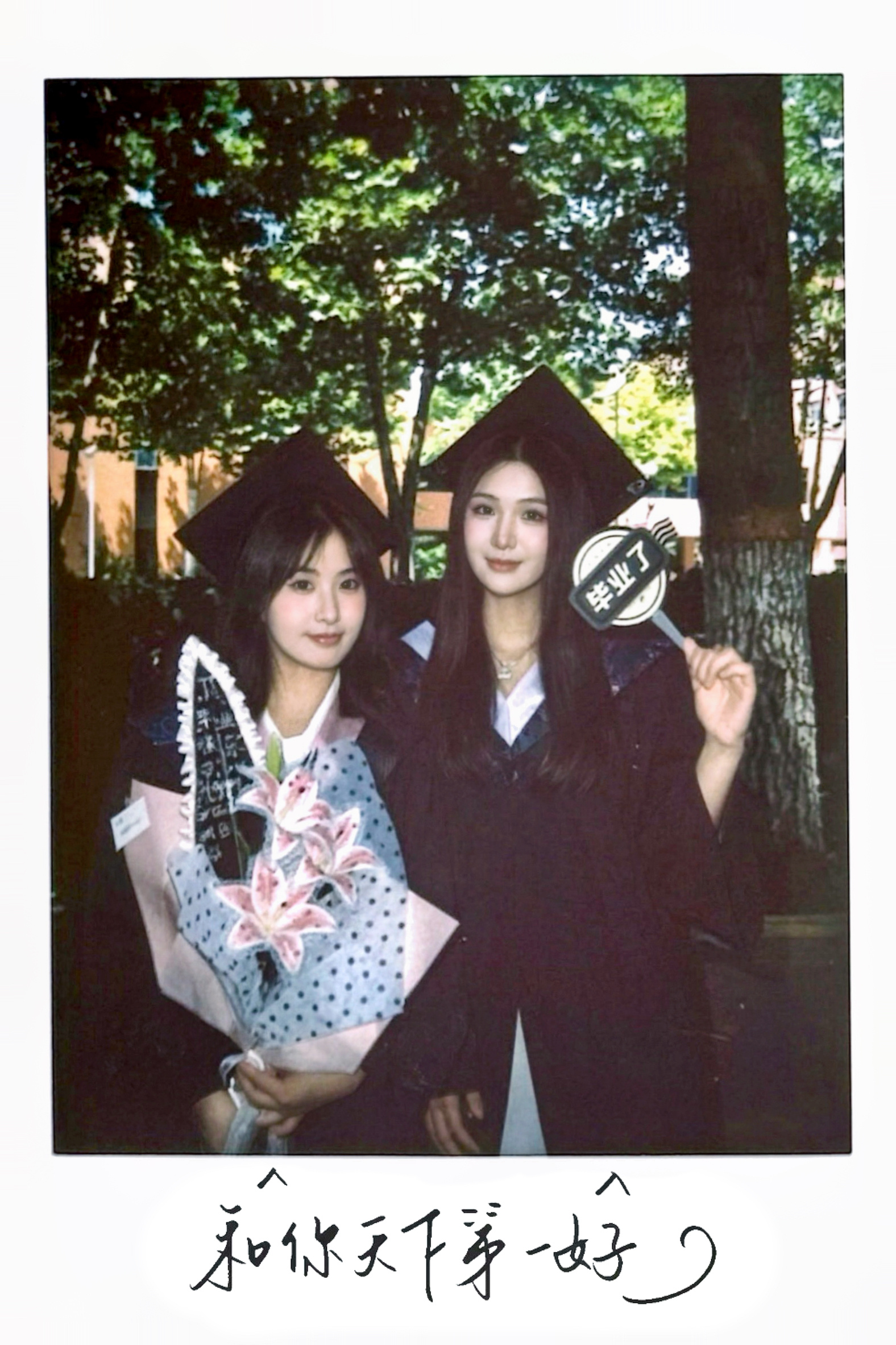 学姐发芽了哄 