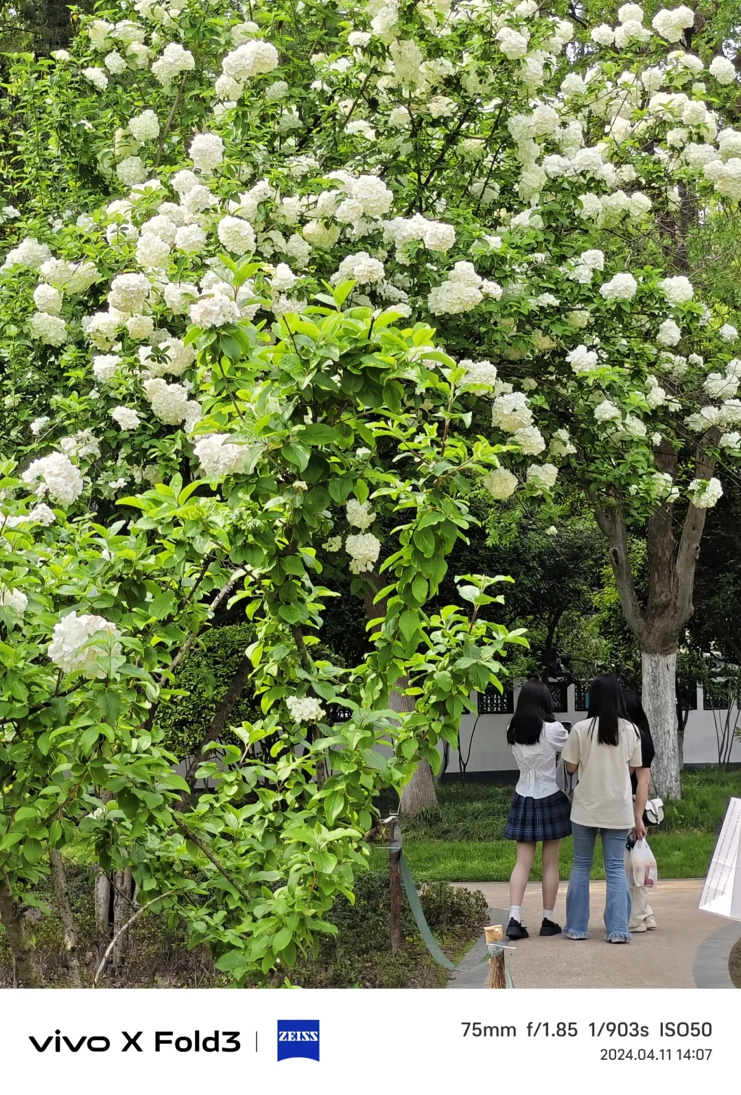 原来我们都错了，
手机才是年轻人的第一台相机。
这几年手机影像非常卷，自从手机与...