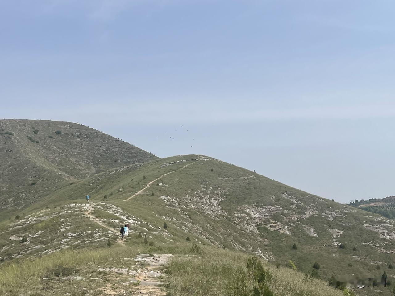 【清平乐•天高云淡】
天高云淡。脚下山花漫。
处处风柔飞絮乱。且把身心放坦。
幽
