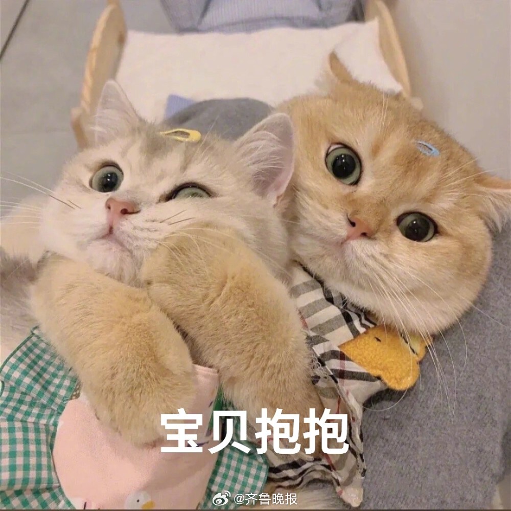 #早安# 别什么都为别人考虑，你是宝贝你也很重要[抱抱] ​​​