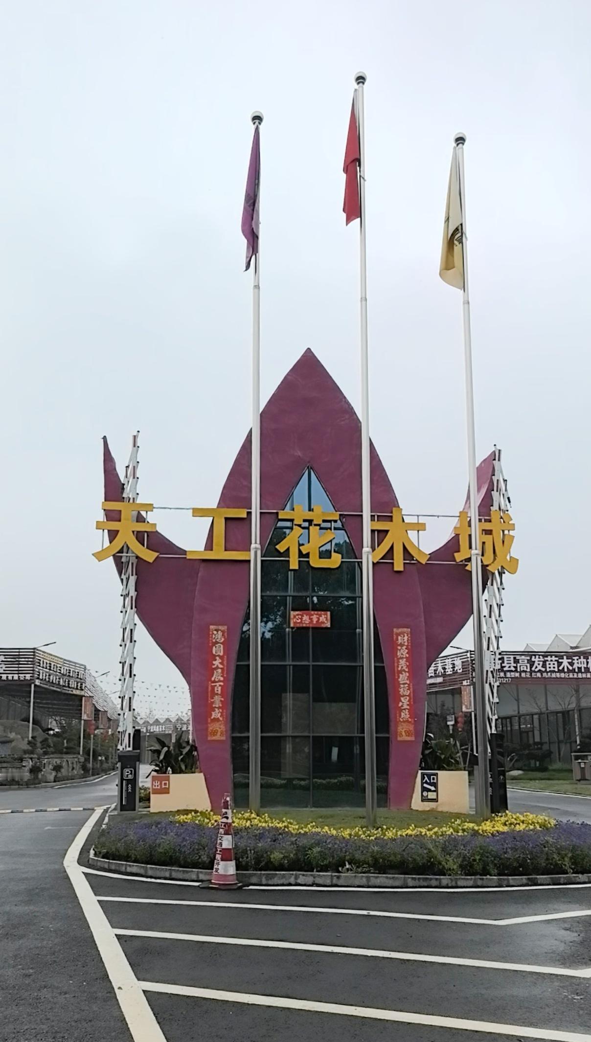 原来这里叫天工花木城 ，有太多太多的花棚，太多太多的苗圃，很大很大的交易市场。但