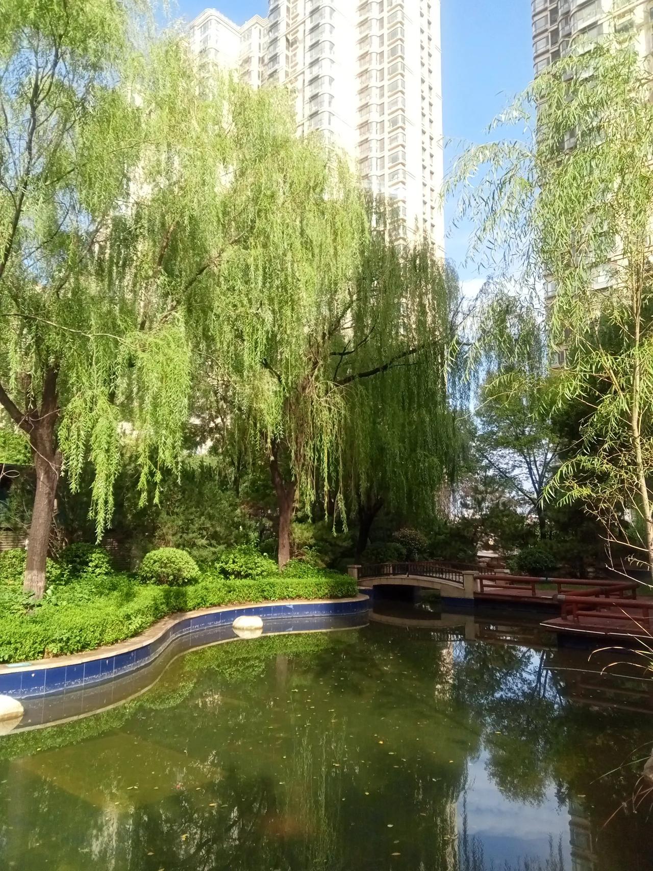 大家觉得能力重要还是学历重要? 这取决于你所从事的行业。科研以及专业性较强的单位