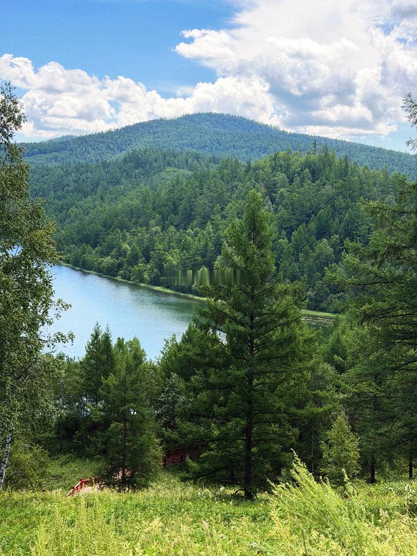 阿尔山国家森林公园🌳爬了几百级台阶累得人仰马翻，夏天没啥特别的，秋景层林尽染的