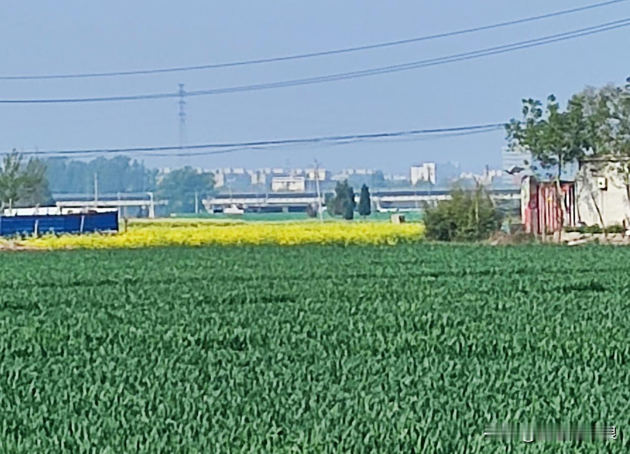 邻村一家办喜事，结婚日期都定好了。结果这个女孩子临时说，结婚后每月给她爸妈100