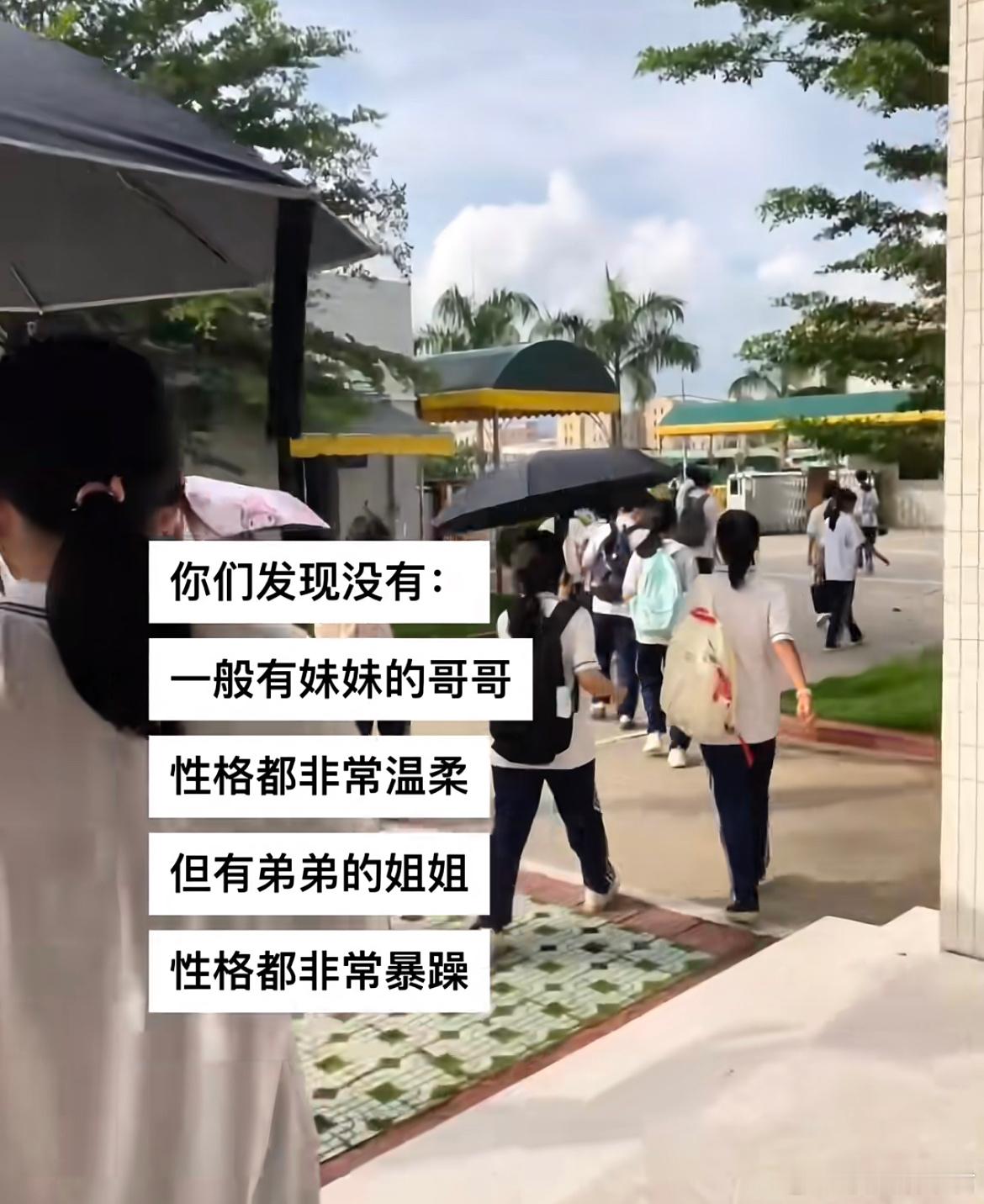 你们发现没有： ​​​