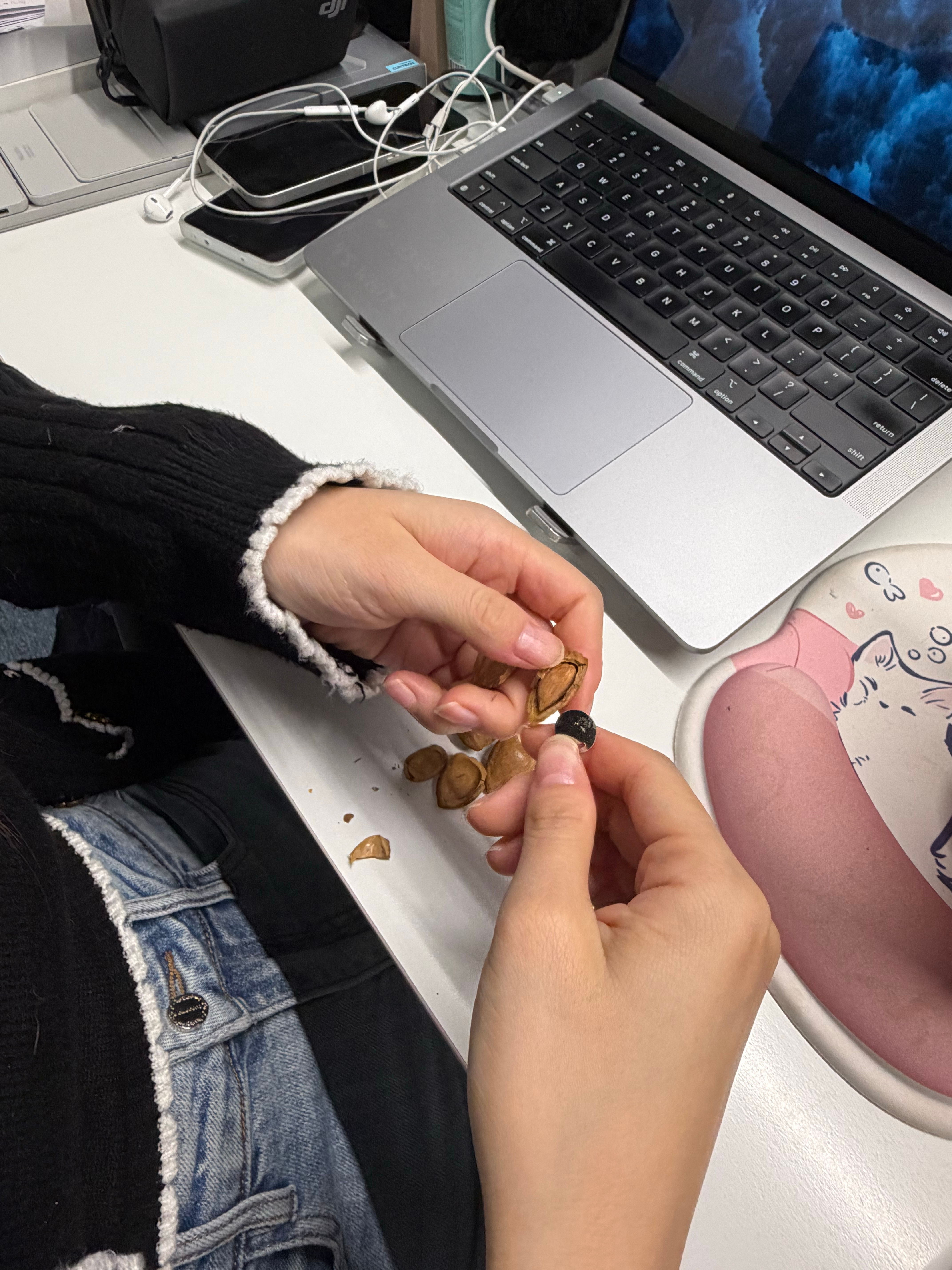 早上补充点坚果🌰小白杏太难开了 小伙伴说可以用卡针试一下卡针的用途➕1️⃣ ​