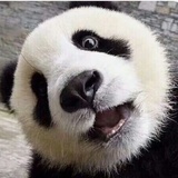 王冬侃