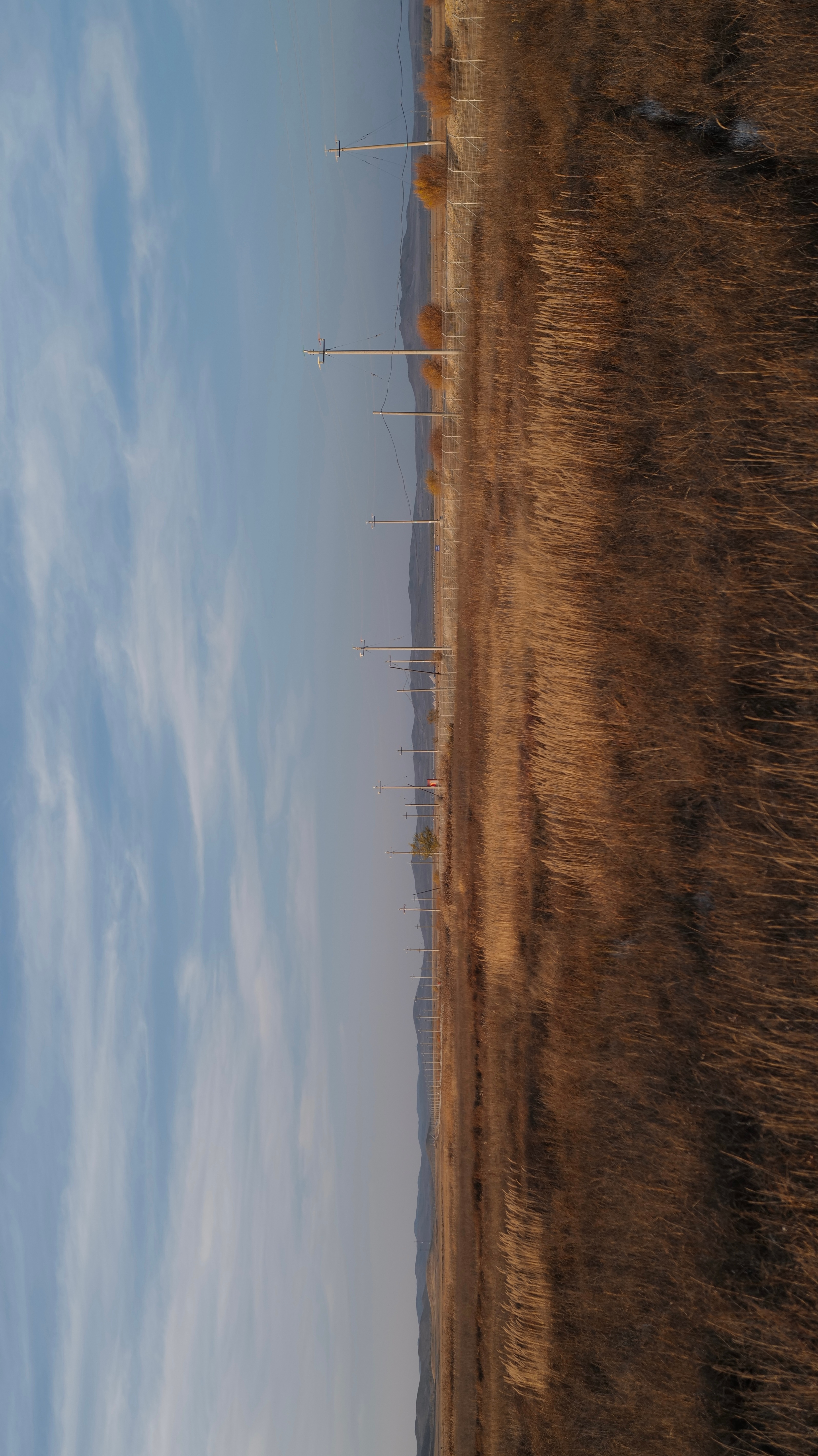 天穹，四野，生灵，俱披金毡。直到入夜。  ​​​