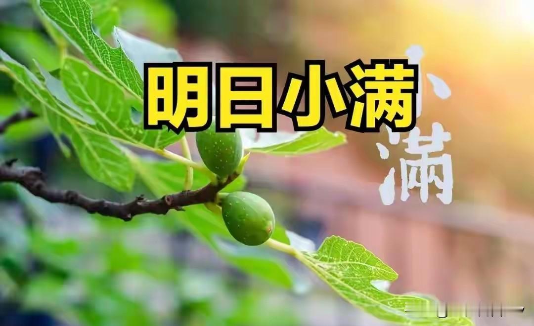 明日小满是“满日”，记得：1不坐、2不开、3不出、4要看、5要吃
 
明天是小满