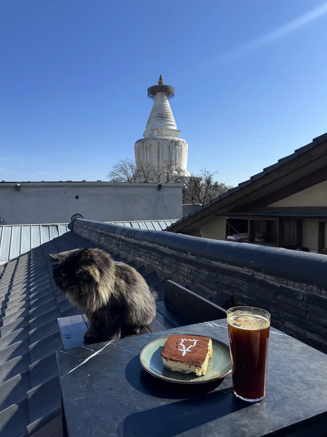 在北京会反复来的咖啡店☕️……