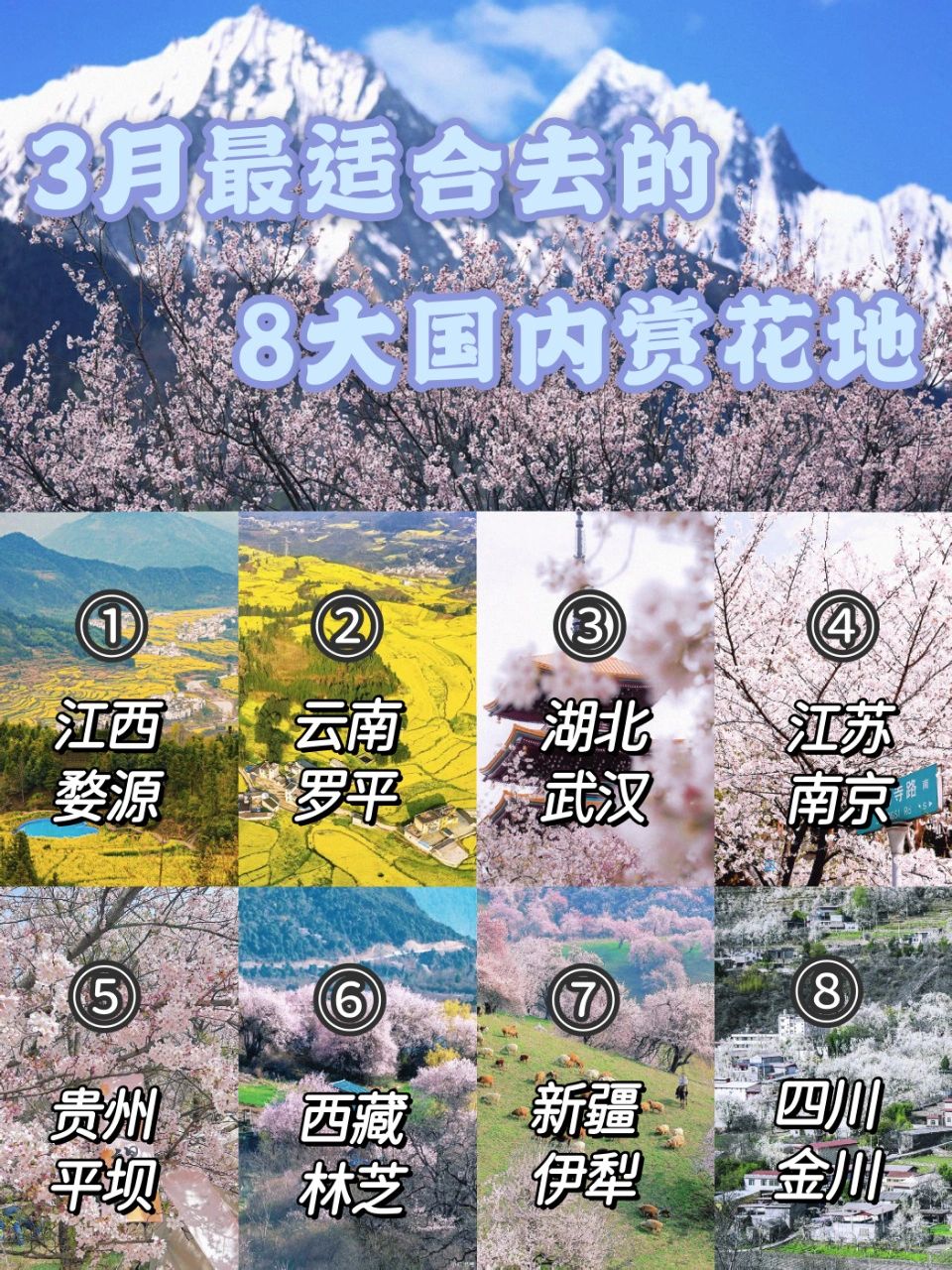 3⃣️月必去 | 8个国内赏花旅行地❗