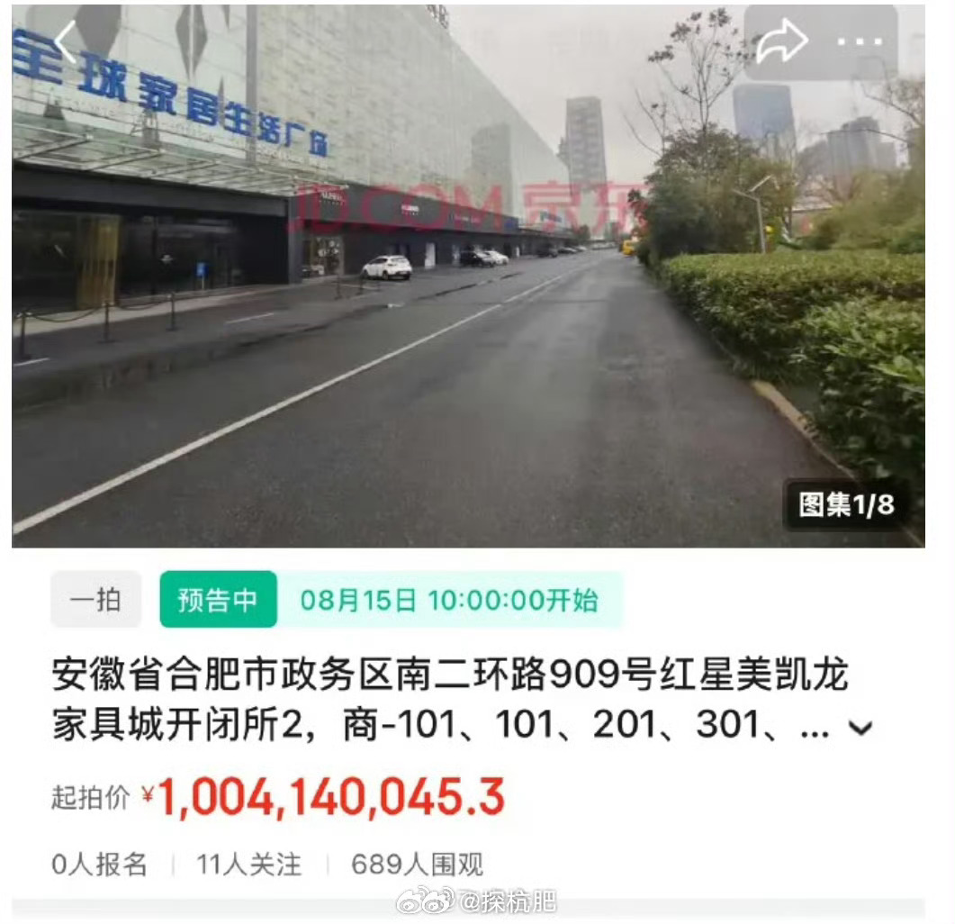 合肥政务区一商场即将拍卖 合肥政务区天鹅湖的红星美凯龙整栋大楼挂在京东司法拍卖出