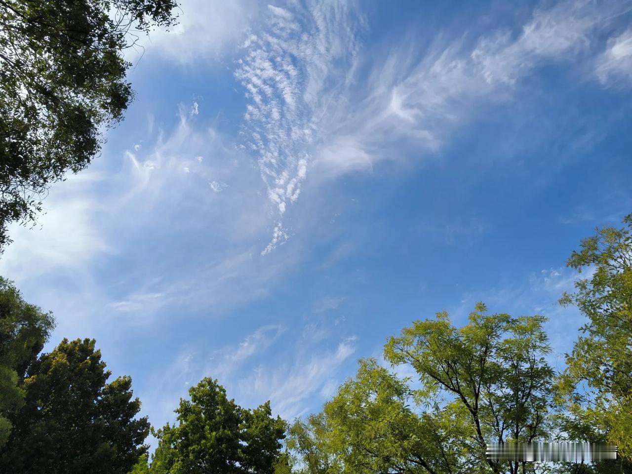 他们为什么娶女博士做老婆

我的工作环境里，周围大部分同事都是博士毕业来的。仅仅