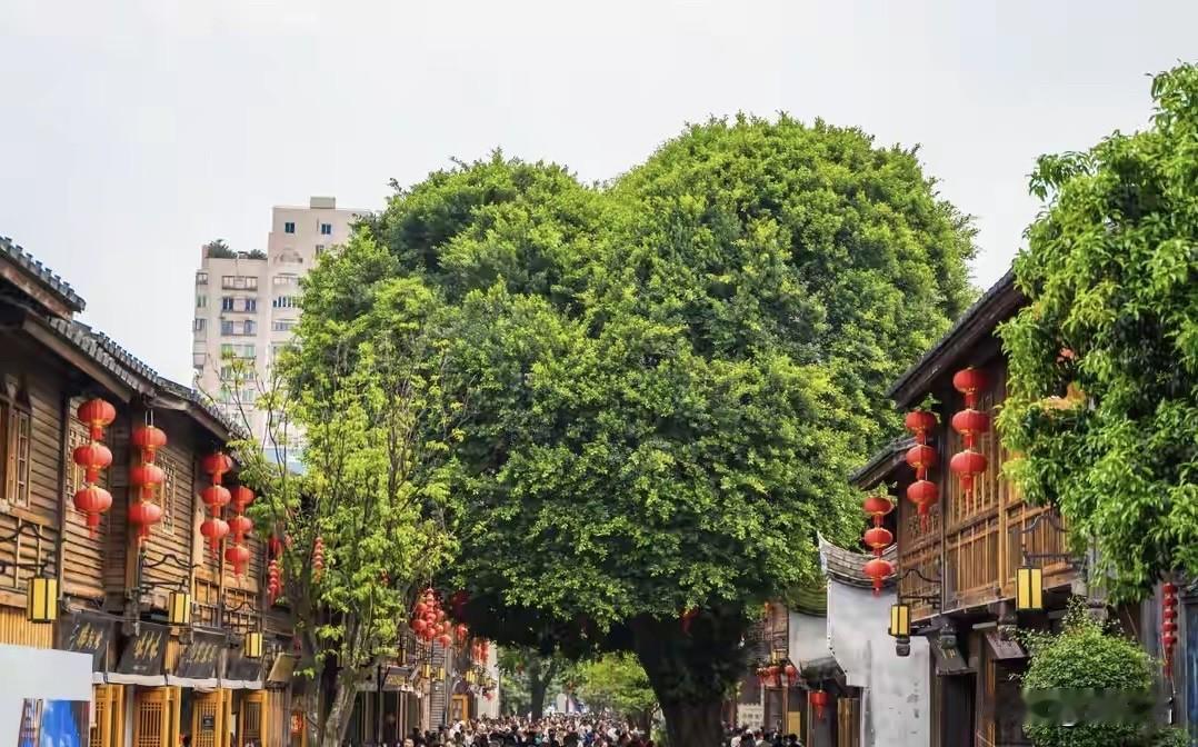 从“地铁判官”看年轻人正义观的变迁

地铁上，一位大妈因座位问题与年轻乘客争执不