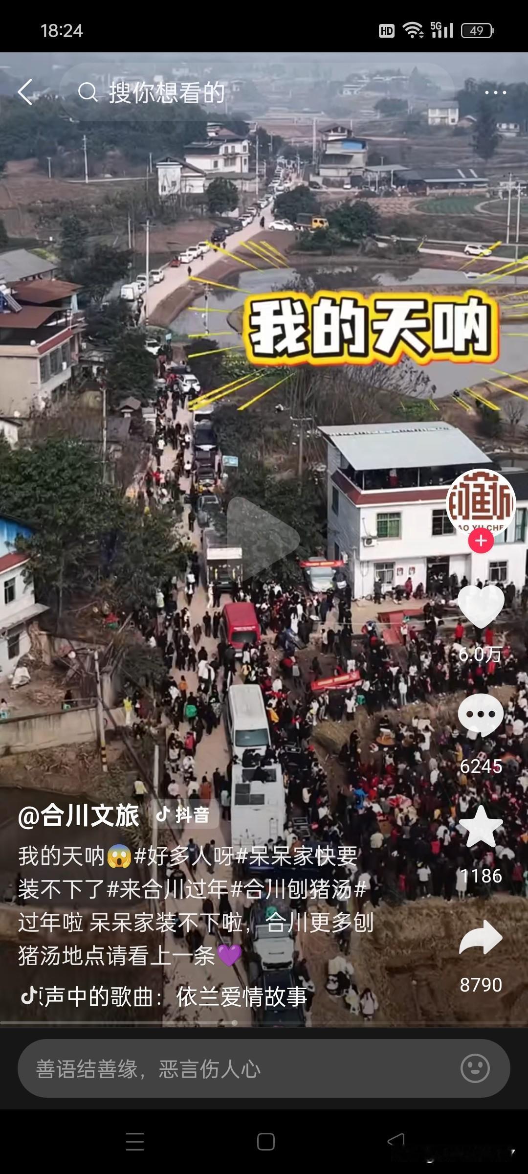 合川真热闹，呆呆妹妹喊按猪，相隔千里也想去，可牛马不得闲啊！