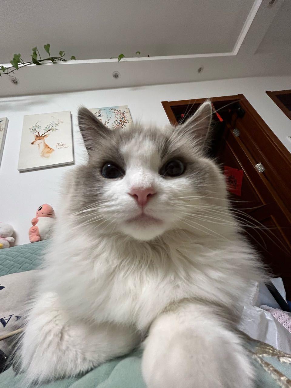 8599【麻烦带图】人 你可以靠在咪宽阔的胸膛上 ​​​