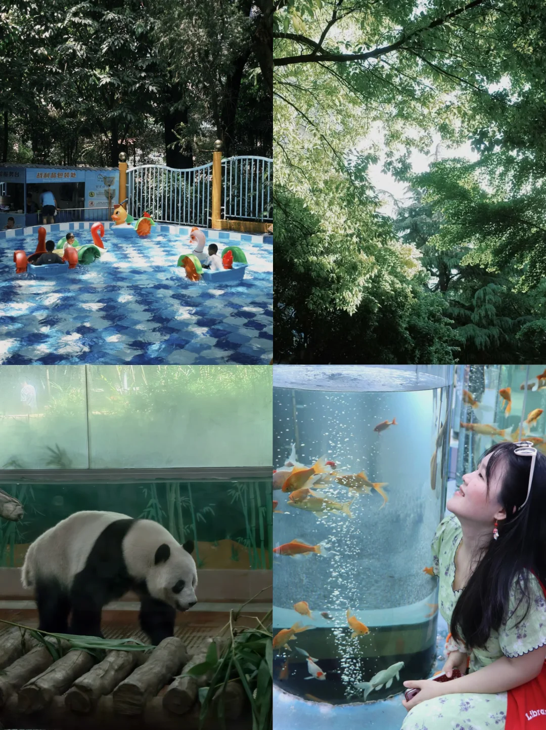 广州动物园🐼🦒🐘20元花的值！！！（附攻略）