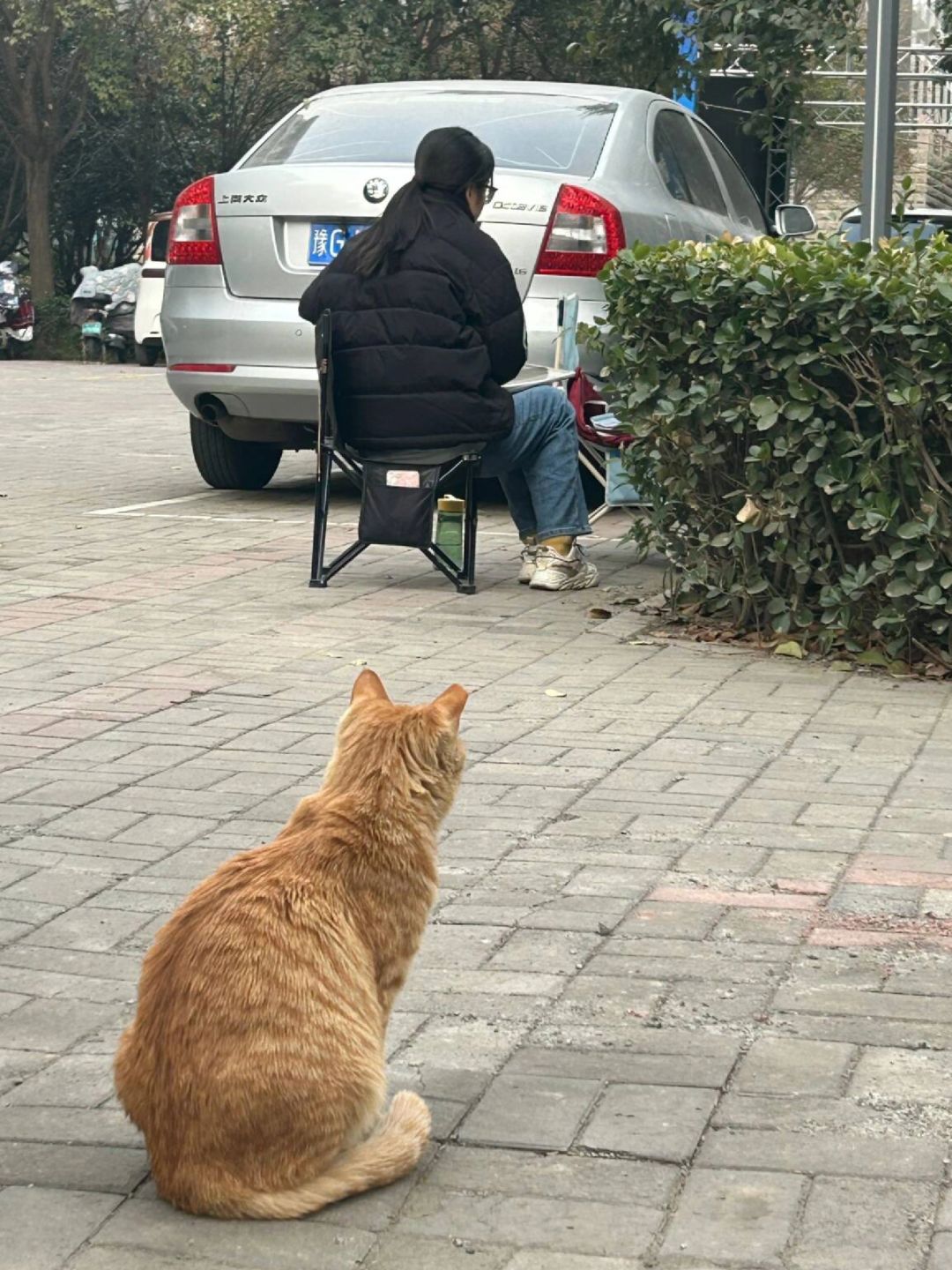 您的小咪老师已送达