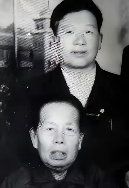 1994年，在被中国收养近50年后，日本遗孤赵连栋在踏上日本国土之后，再也没有给