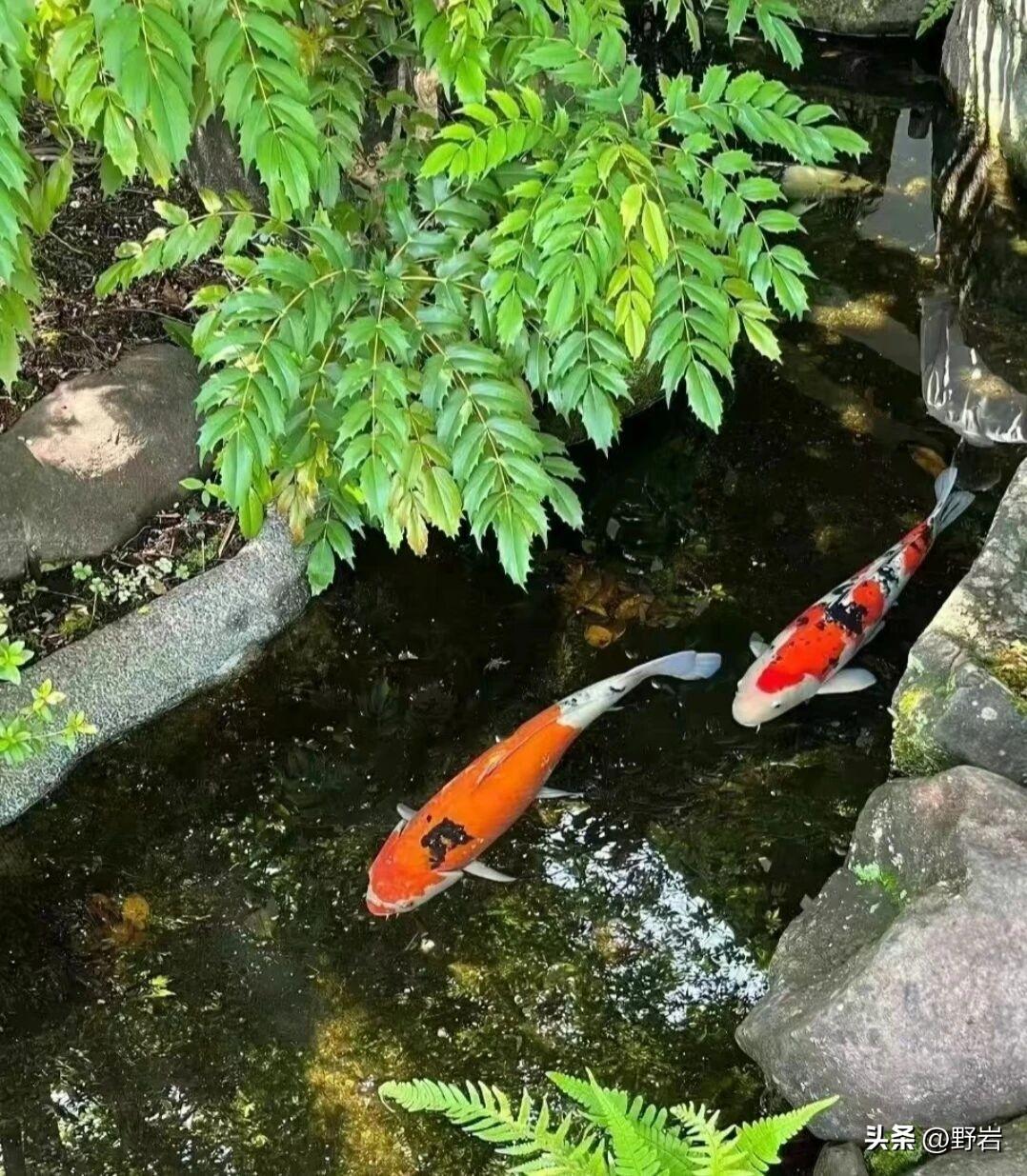 想长寿，做好这十件小事
 
1. 常裸睡，全身无束缚，放松助休养
2. 适度规律