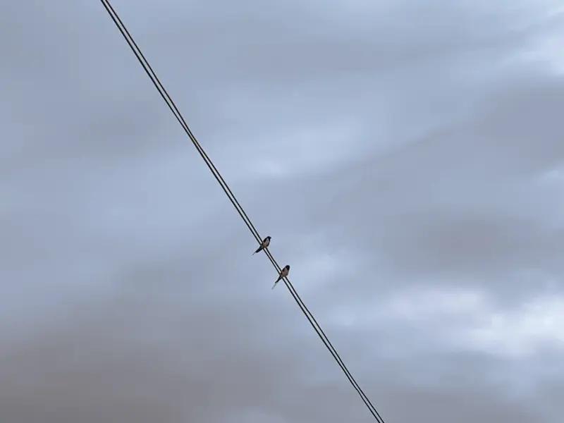 灵魂共鸣太让人感动了👍