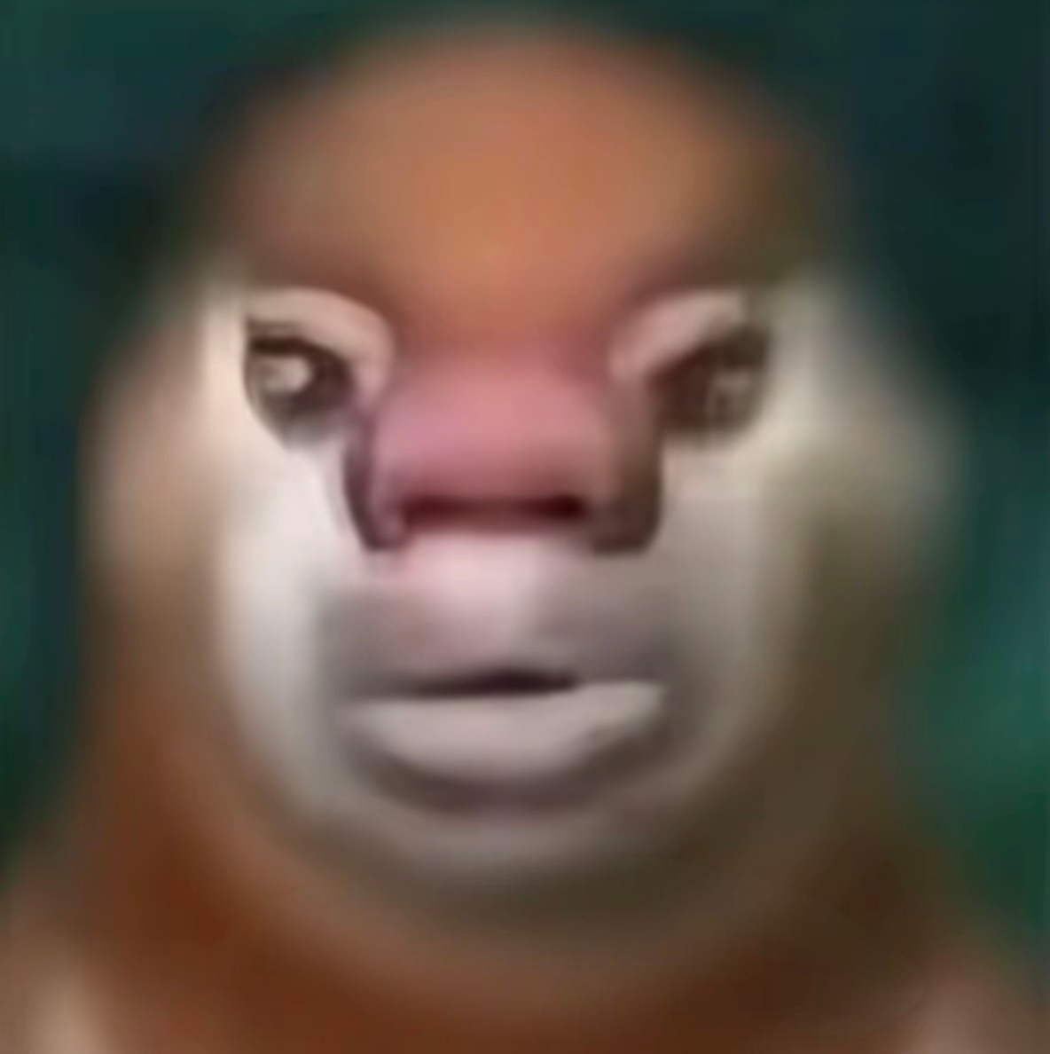 当我看见glm大闹甲方 ​​​