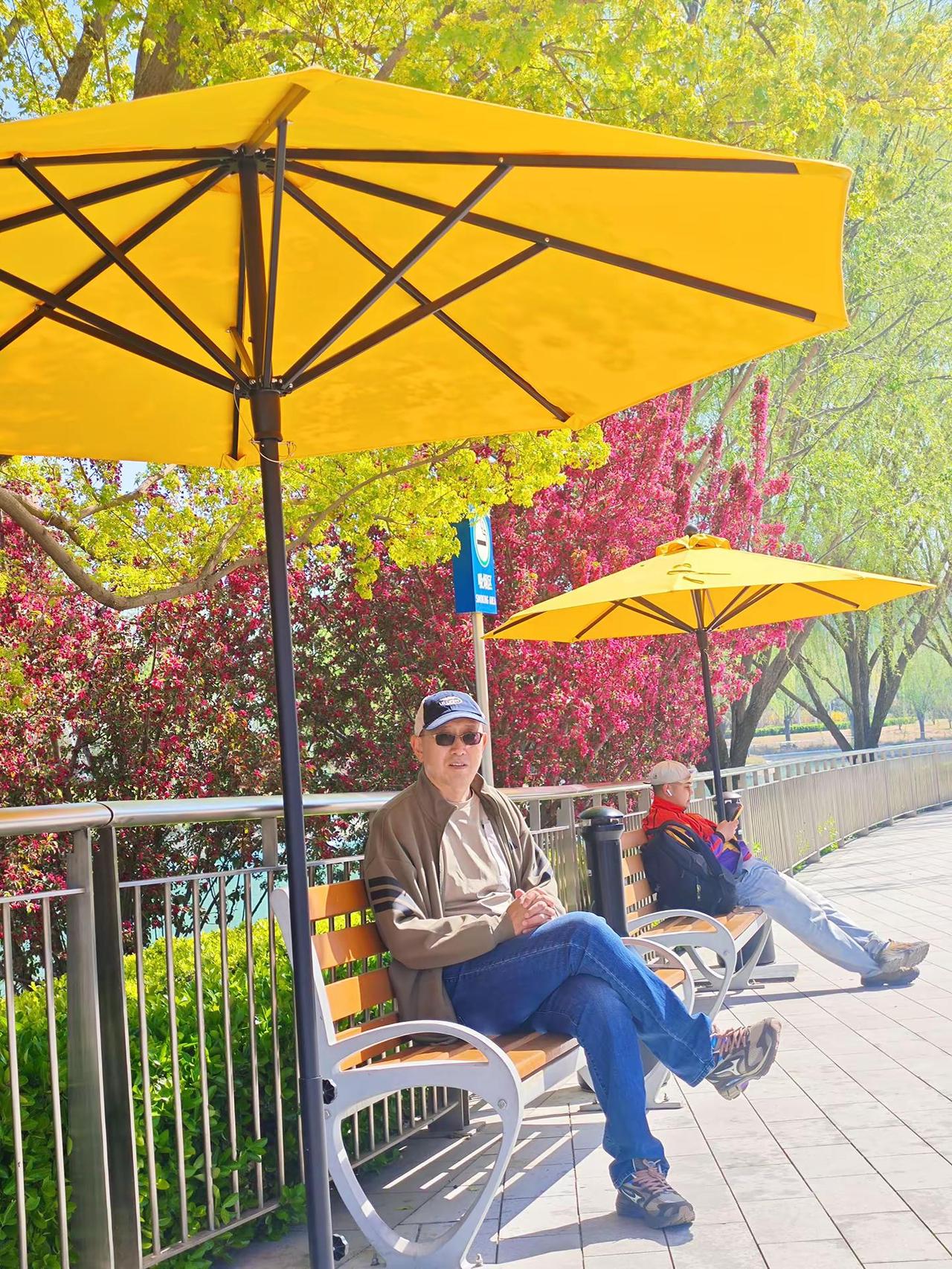 户外穿搭show 户外休闲男士 潮叔 男户外休闲 粉色樱花树枝繁叶茂