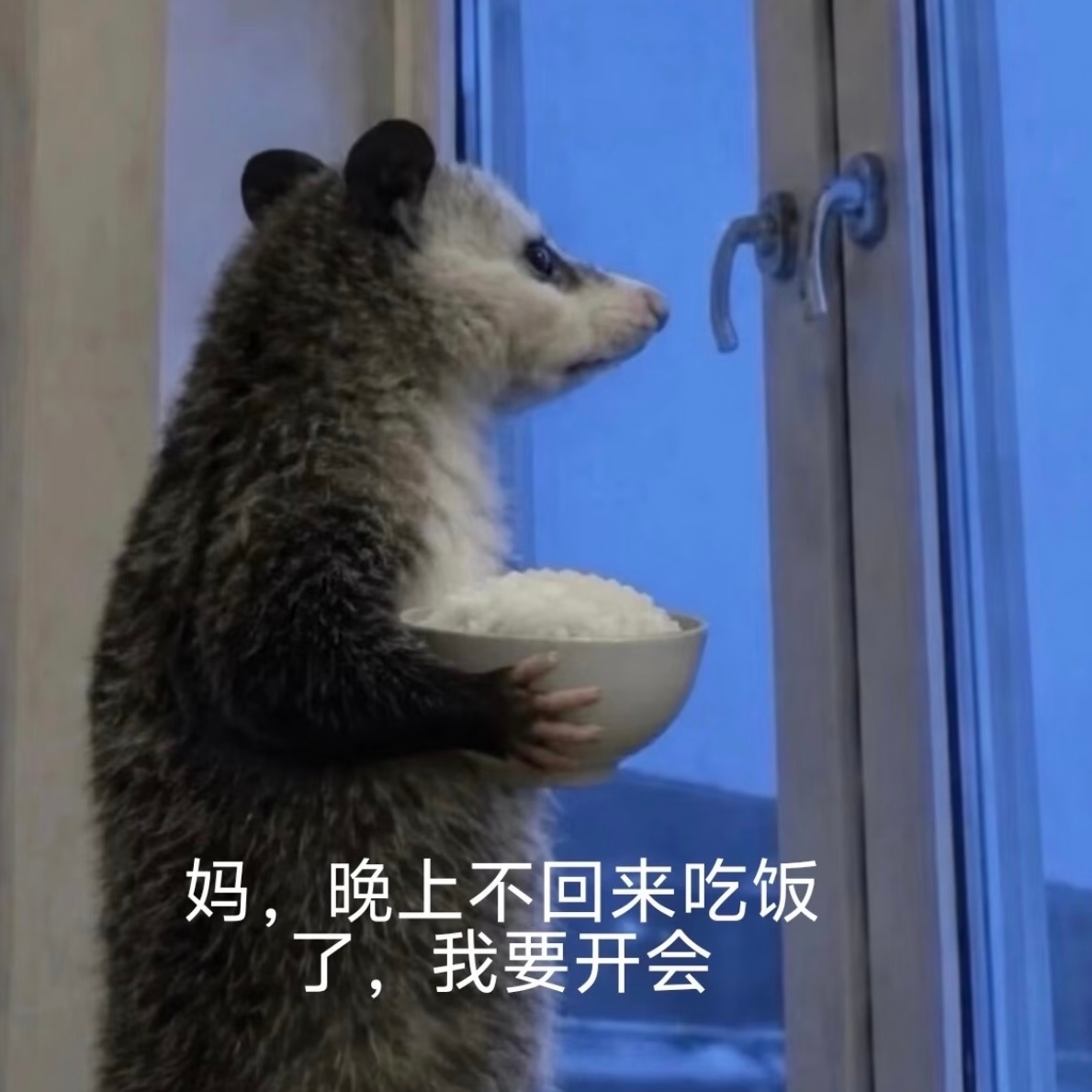 。。。。 