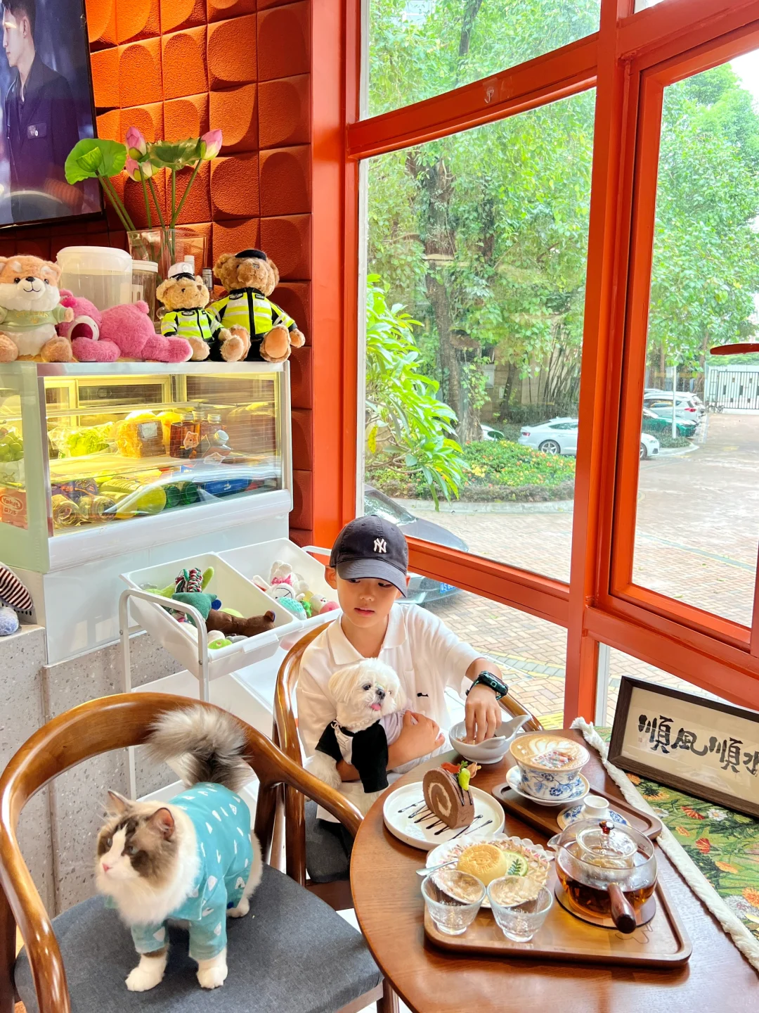 东莞的宠物友好咖啡店｜怎么办？孩子不肯走了