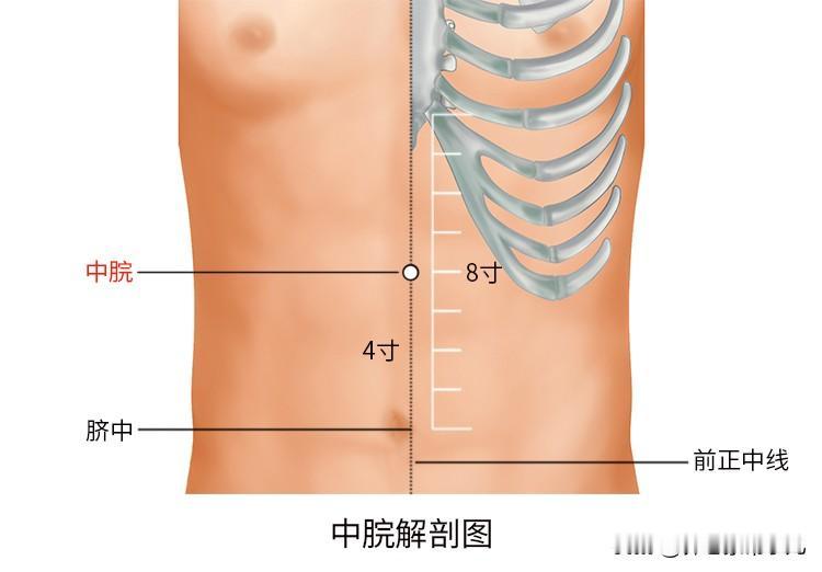 上午10点养脾胃黄金时刻
 
懂养生的人都知道，上午9点至11点是脾经当令，正是