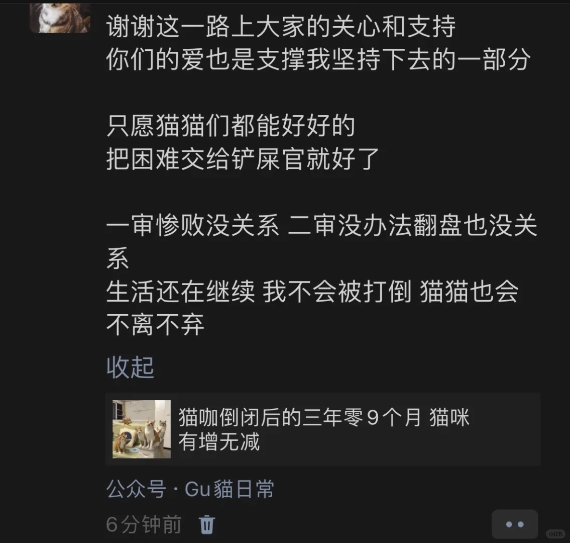 不是所有的猫咖倒闭 都是遗弃