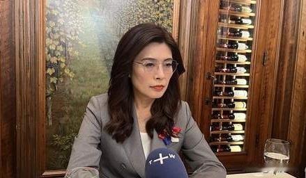 国台办最新表态，硬气！

统一大势，岂容反复横跳？一边喊着“欧盟模式”拖延，一边
