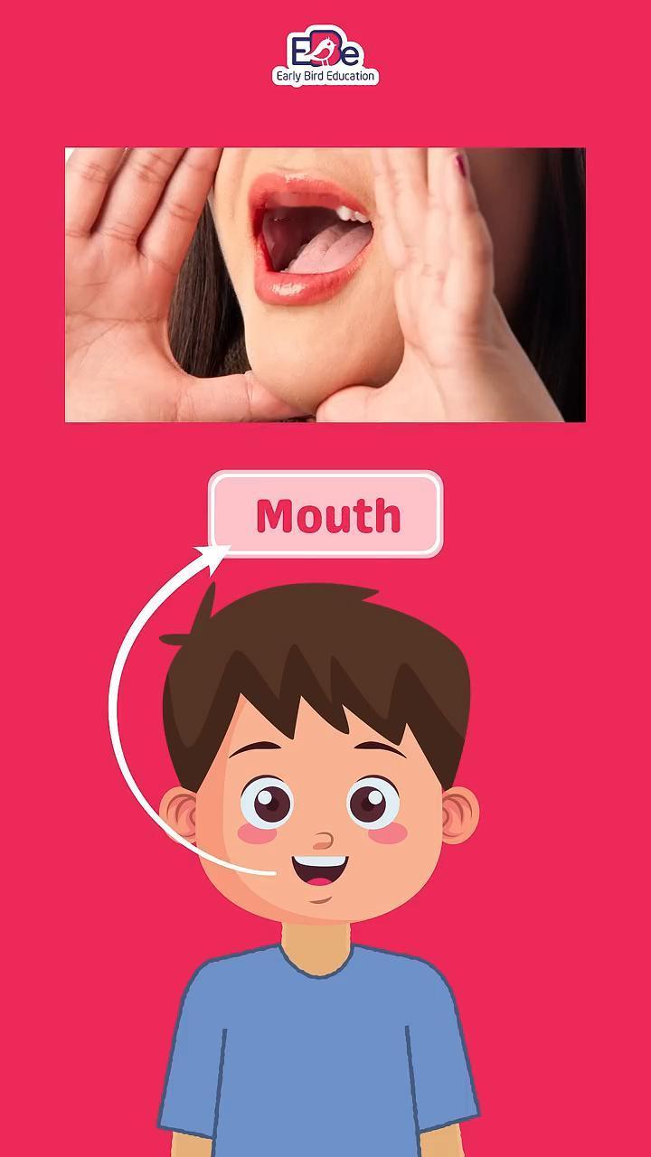 Ear，Eye，Nose，eye，nose，mouth，teeth，neck，n