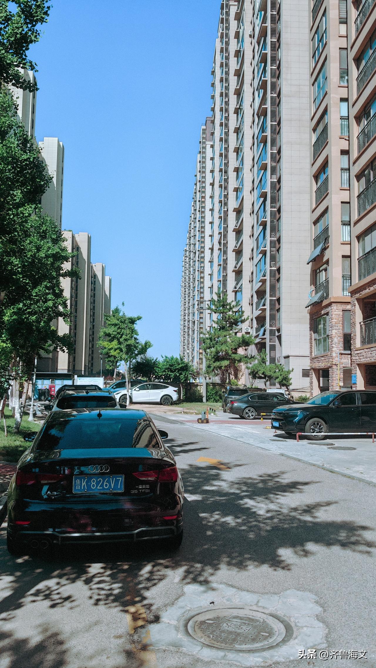 分享一下你随手拍下的照片