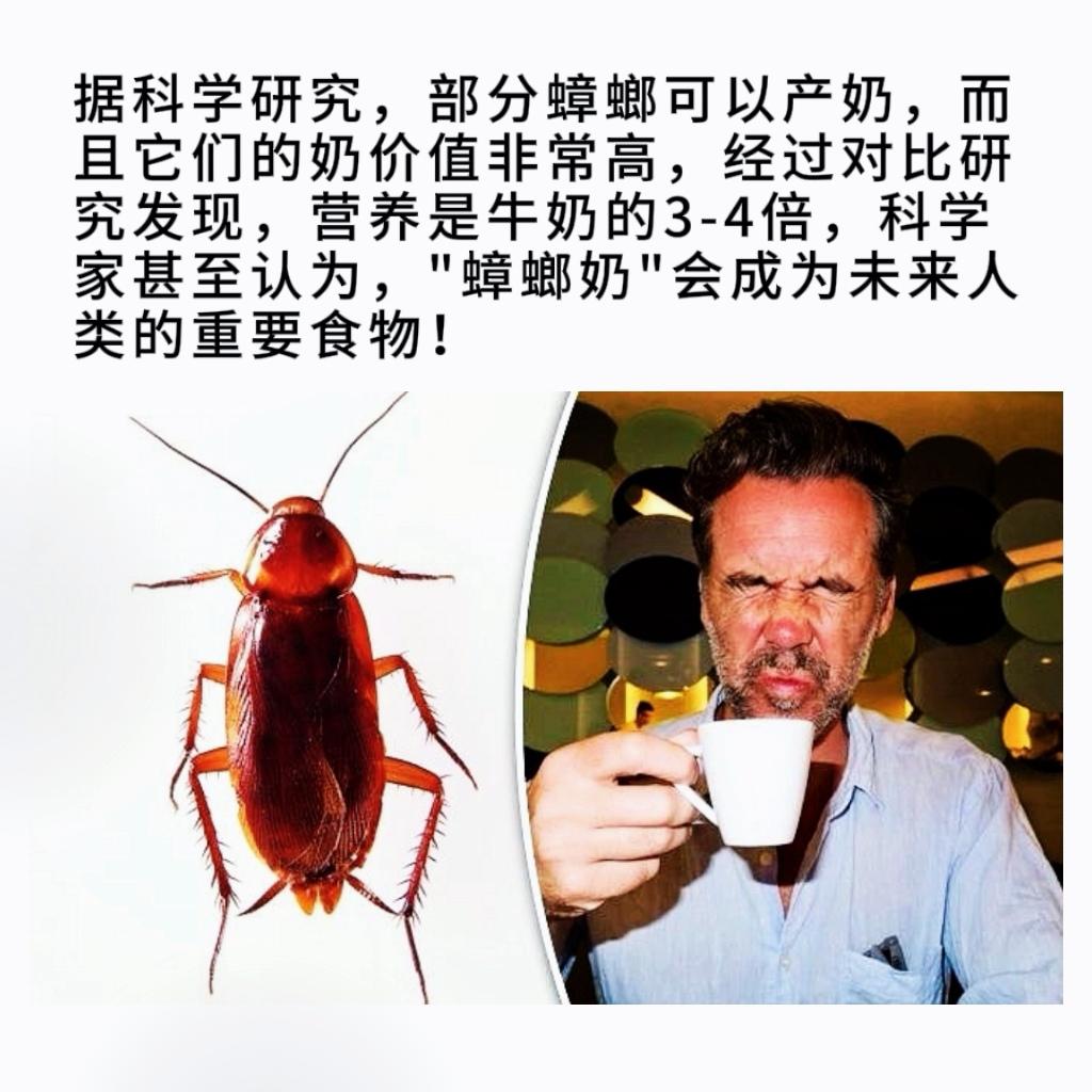 据科学研究，部分蟑螂可以产奶，而且它们的奶价值非常高