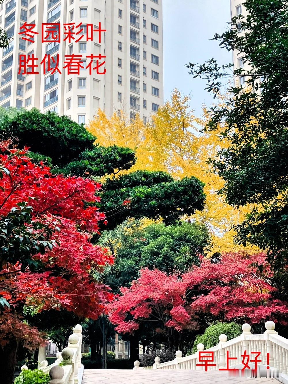 分享一张最近随手拍的照片