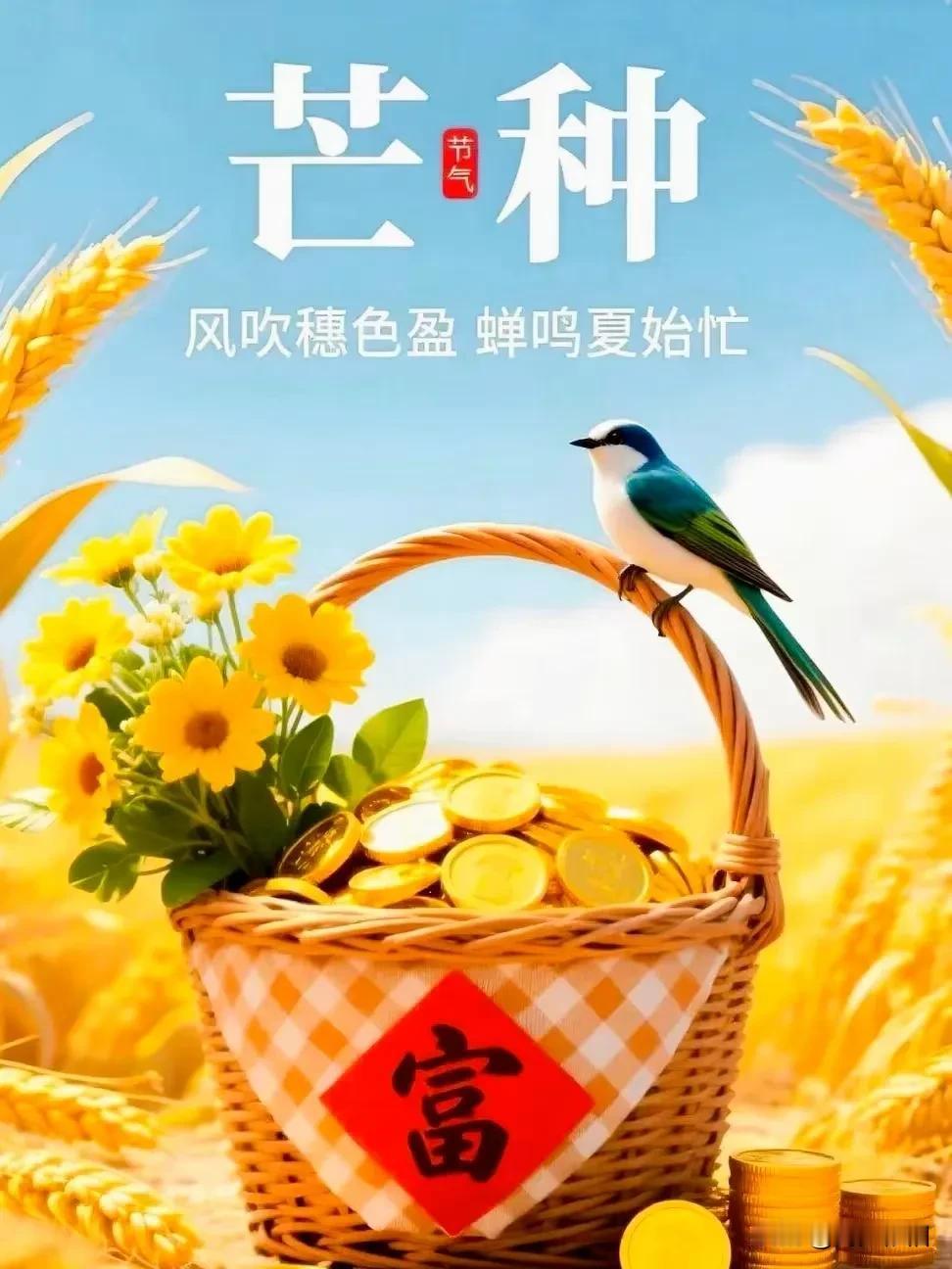 《西江月·晨安寄福》
 
晓日轻铺尘陌，
清风漫送安康。
偕同曦色踏韶光，
常拥