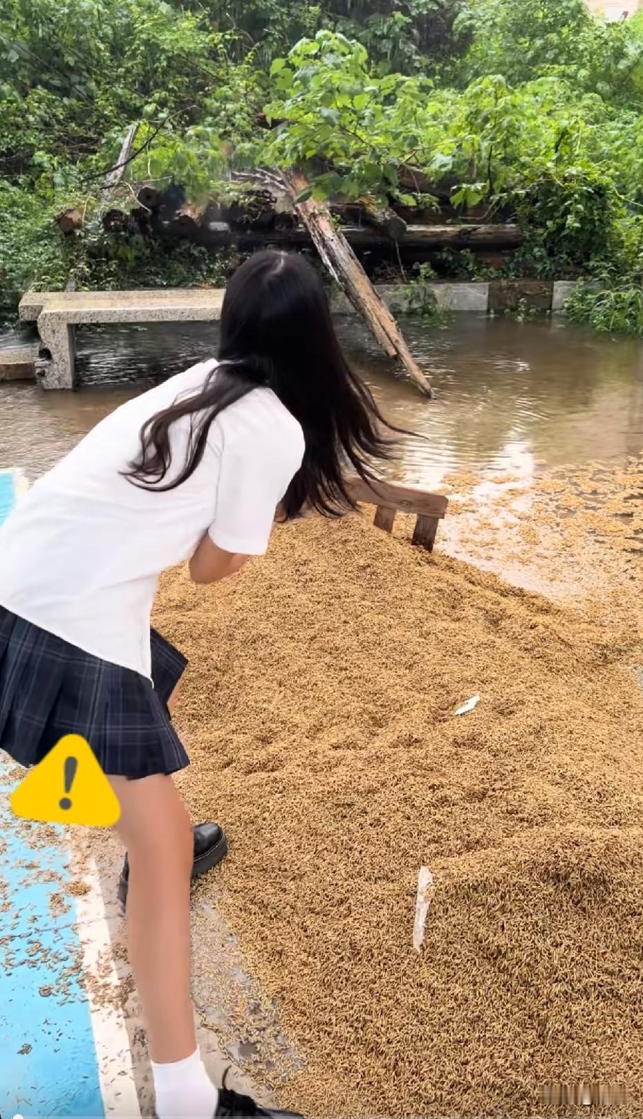 希望你在家人回来之前，拿出清华北大的录取通知书