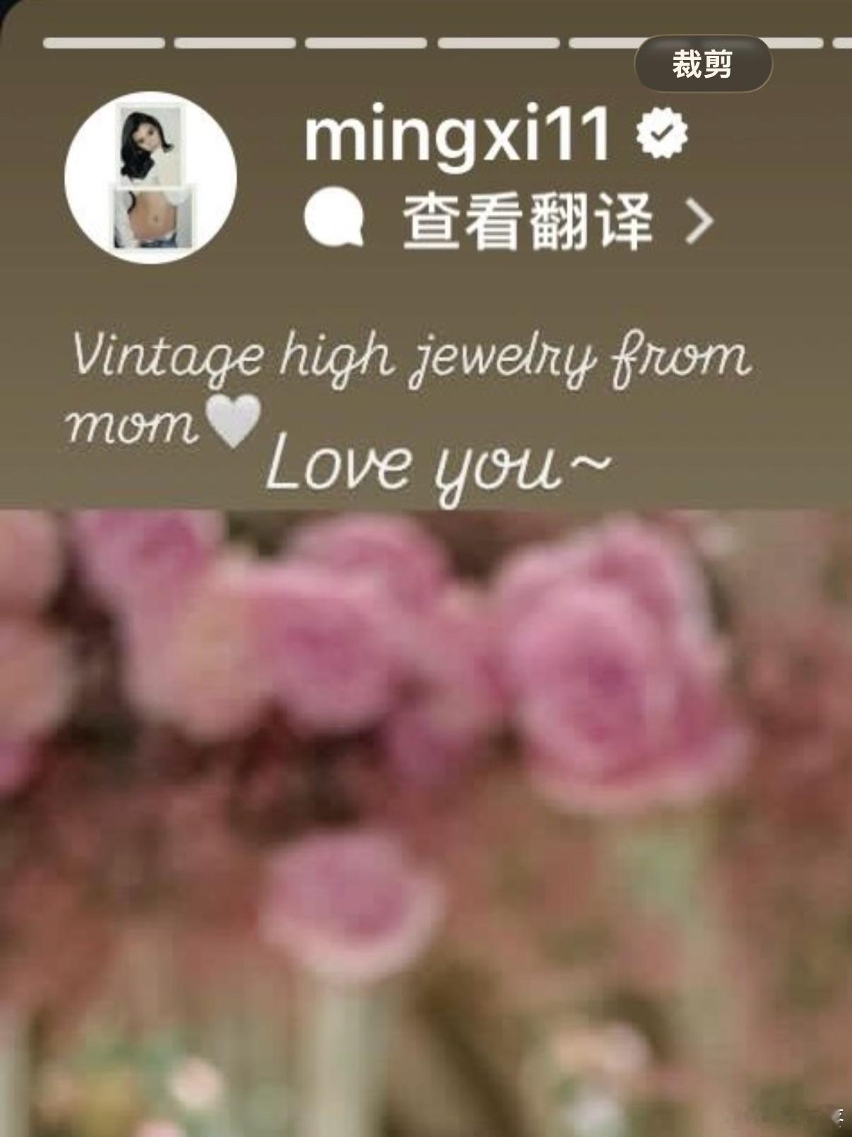 奚梦瑶单独发图感谢婆婆 在奚梦瑶最新分享的婚礼相关照片里，有一张奚梦瑶戴头纱的背