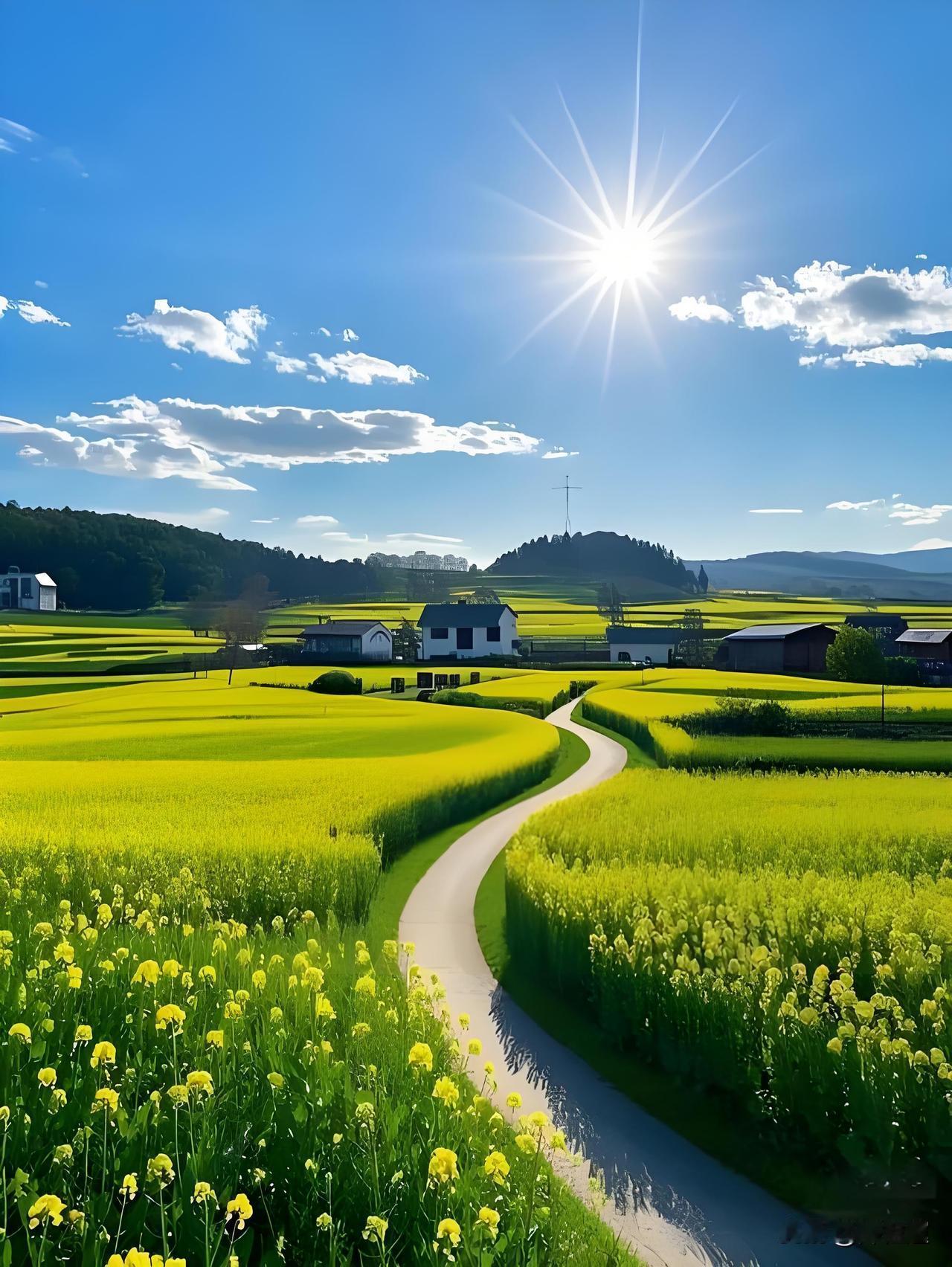 路边的树木无精打采地耷拉着叶子，往日里欢快歌唱的鸟儿也不知躲到了何处避暑，只有那