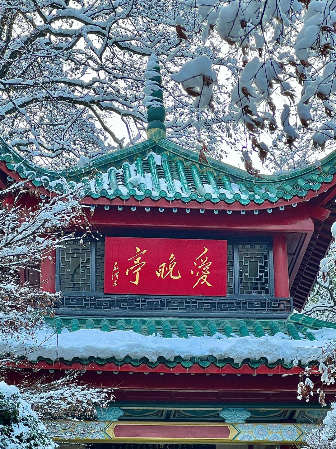 长沙1.23实况！雪后初晴的岳麓山美爆了。。。🥹