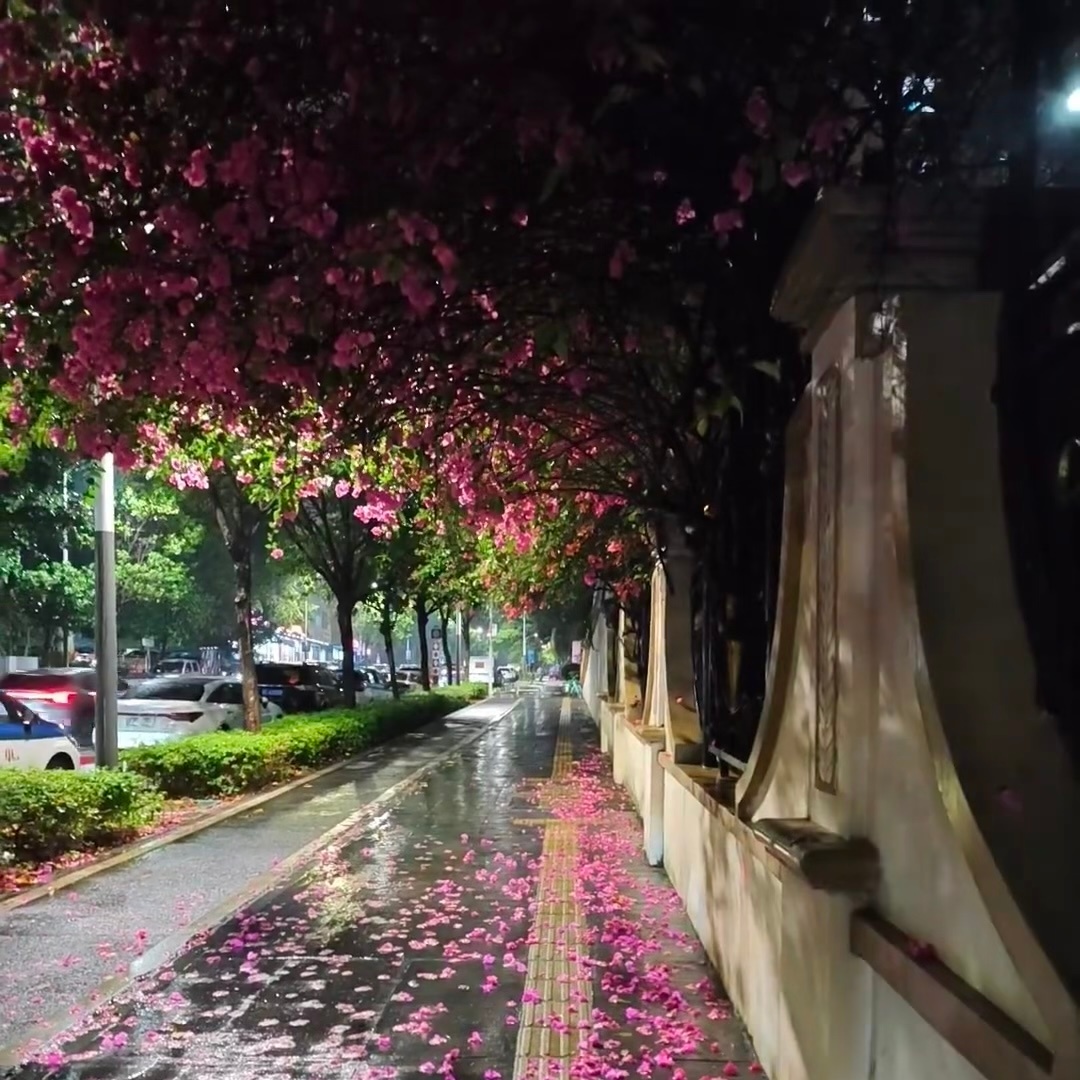 𝙶𝚘 𝚘𝚞𝚝 ☁️ིྀ🍃“敬此刻倔强又疲惫的自己 前路漫漫 苦乐独尝