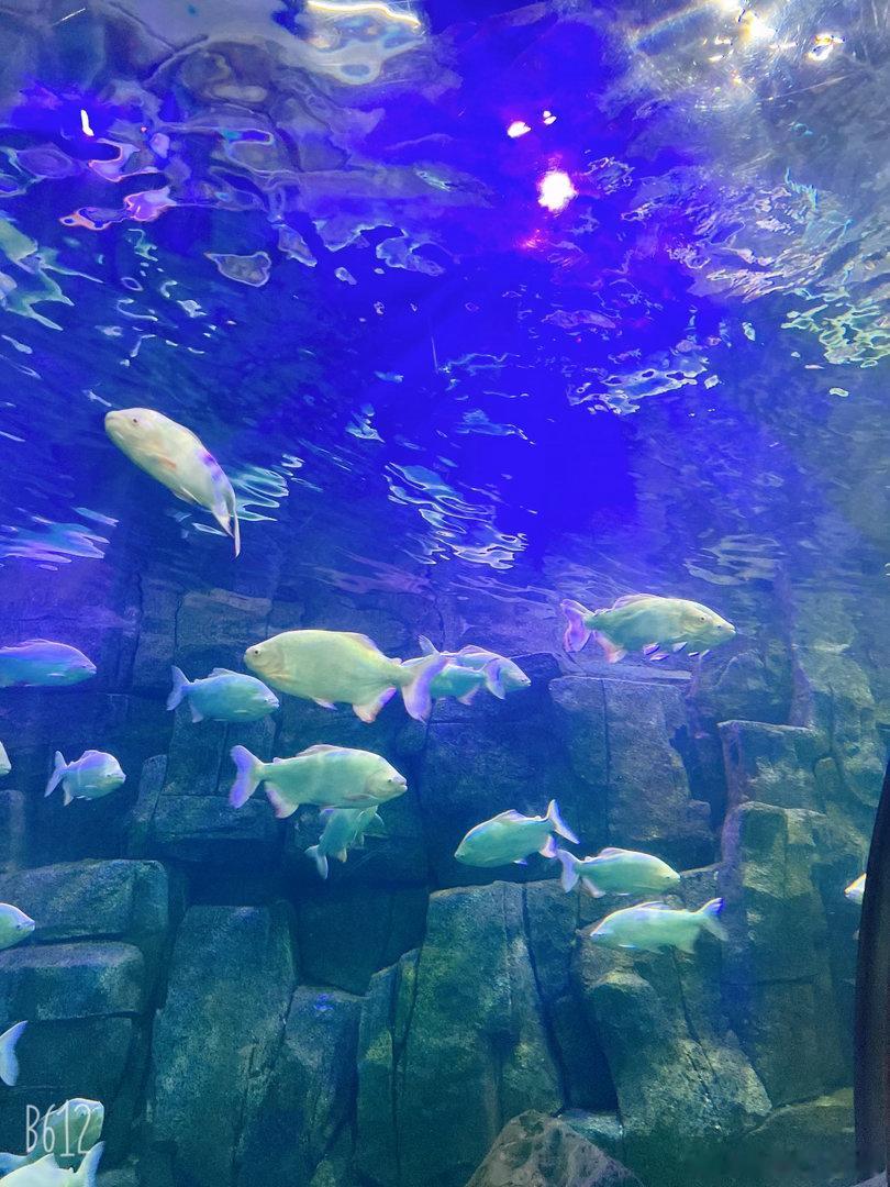阳光信用  真正的修养，藏在日常的言行之中；真正的信用，始于长久的坚守。不随意评