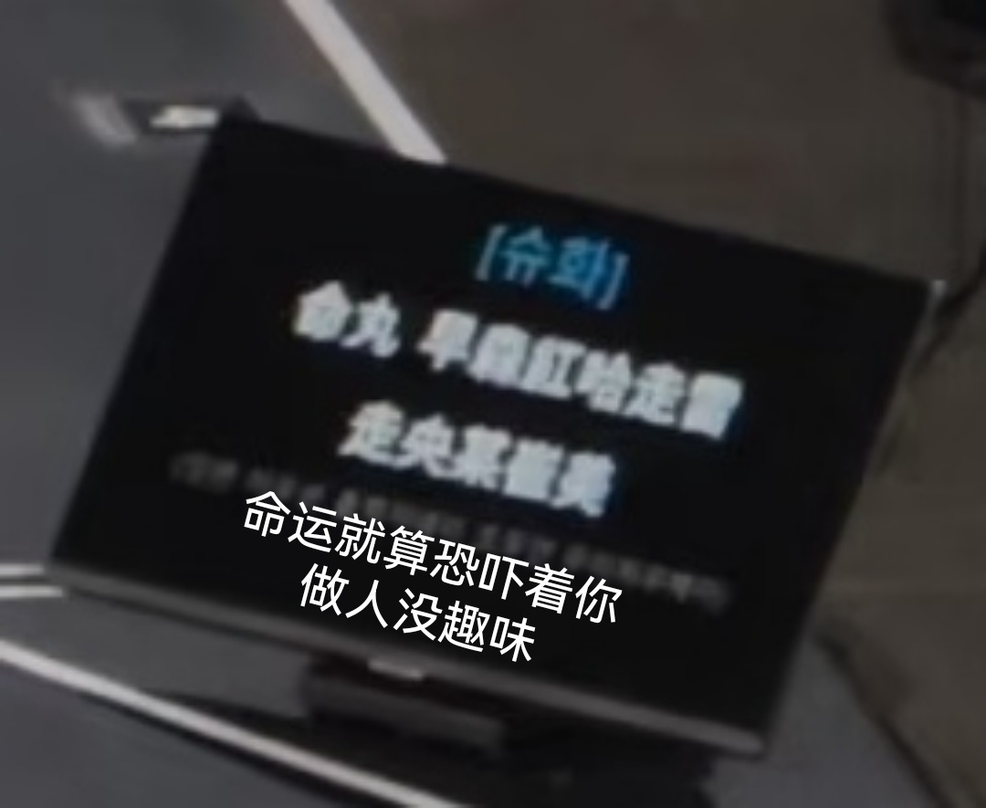 全世界最聪明的小猪一只🐽 