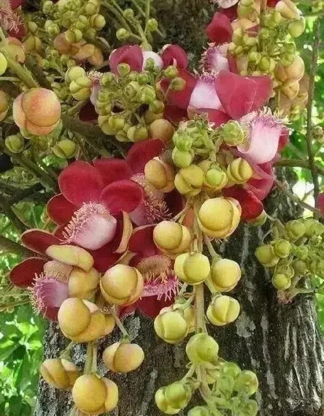 人的一生最大的财富是什么?活到最后才明白，人这一生最大的财富，从来不是钱。
真正