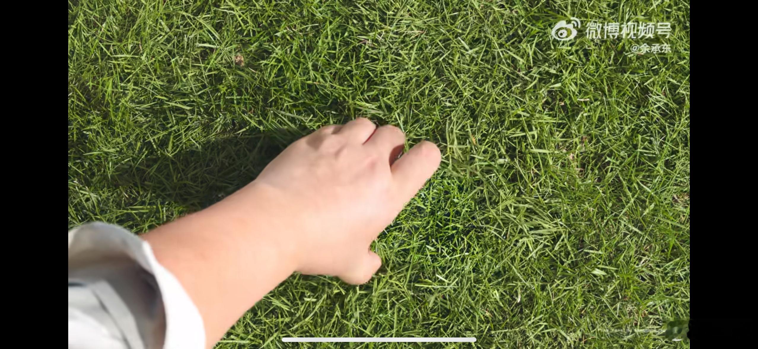 余总又来爆料了，图一真没看出来有个手机这次华为 Mate 80 系列的屏幕不仅更